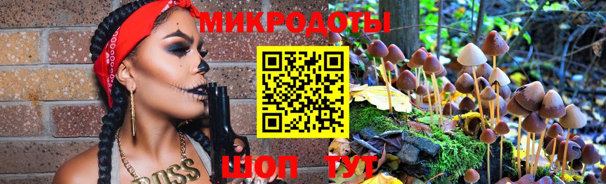 Псилоцибиновые грибы Cubensis Кинель
