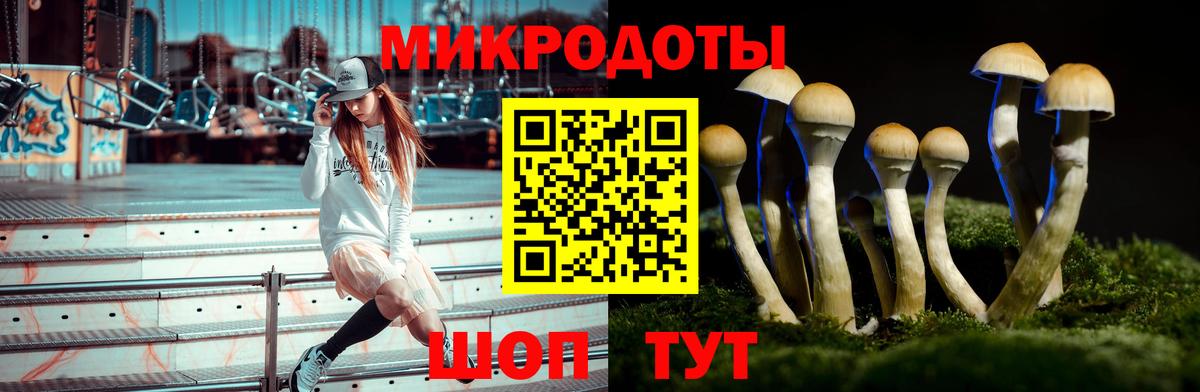 Галлюциногенные грибы ЛСД  Вход с VPN  Псилоцибиновые грибы мицелий  Кинель 